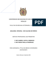 Analgesia Epidural Con Xilacina en Perros