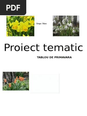 3 Proiect Tematic Primavara