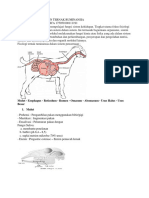 Fisiologi Pencernaan Ternak Ruminansia