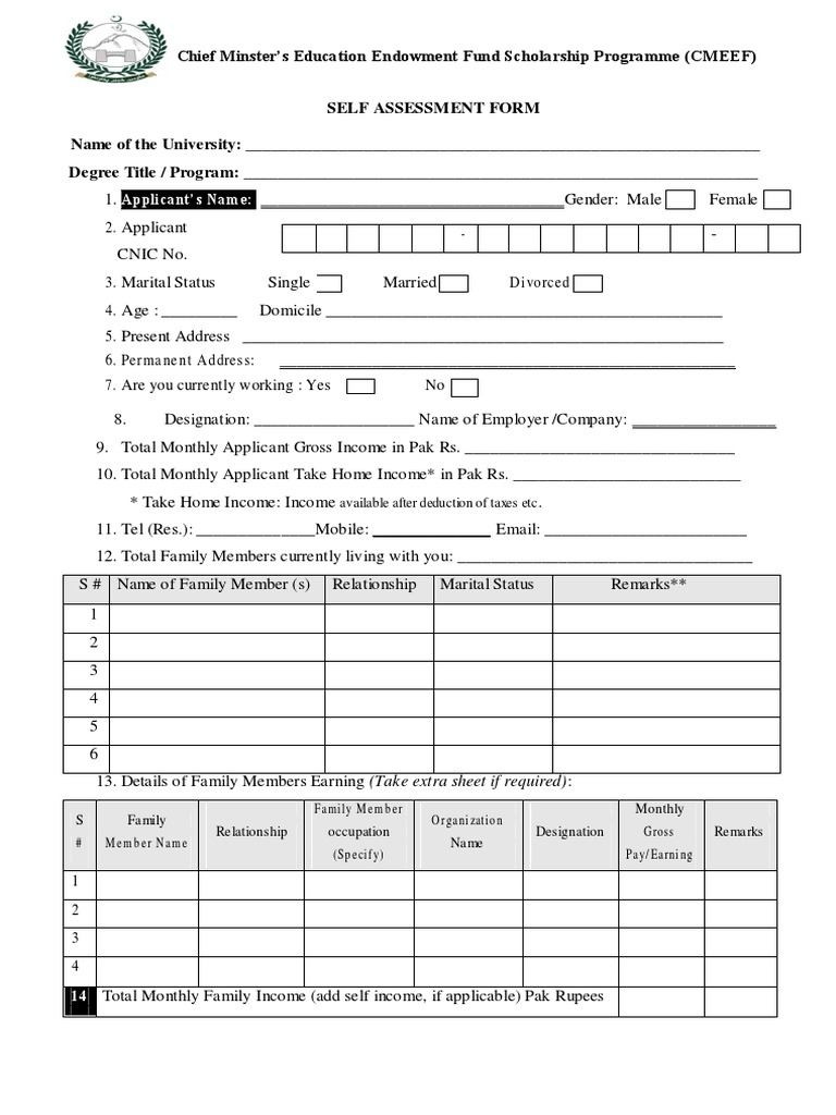 Assesment Schlor Ship Form | PDF | Economies | Business