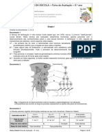 Funcionamento do sistema reprodutor humano