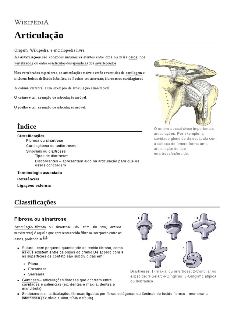 Mandíbula – Wikipédia, a enciclopédia livre