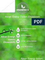 IMH Kelompok 2 Aliran Energi
