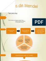 Tercera Ley de Mendel