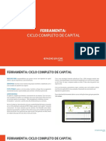 Estratégia financeira para crescer com capital próprio.pdf