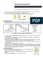 m2 Tananyag Mappa PDF