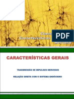 Classificação e Características Do Tecido Nervoso