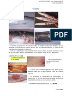 Clase 4 Vibriosis Pseudomona YersioniosisPseudo BKD Nocardiosis Micobacterioris.