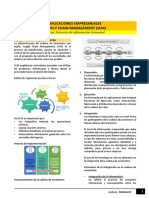 Lectura - aplicaciones empresariales_SISGENM3.pdf