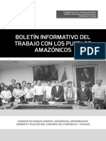 Boletín Informativo de la Comisión de Pueblos - Abril 2019