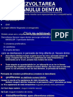 DEZVOLTAREA ORGANULUI DENTAR (1).ppt
