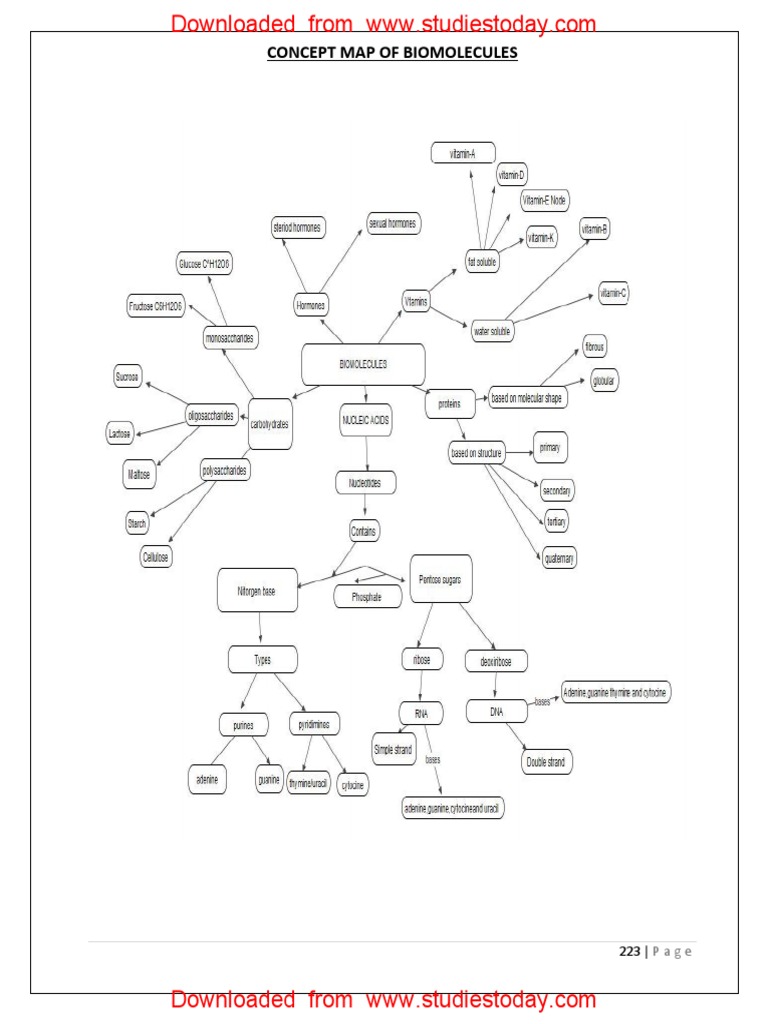Concept Map For Biomolecules Cbse Class 12 Chemistry - Biomolecules Concept Map | Pdf