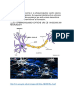 Blog Neurona y Glia