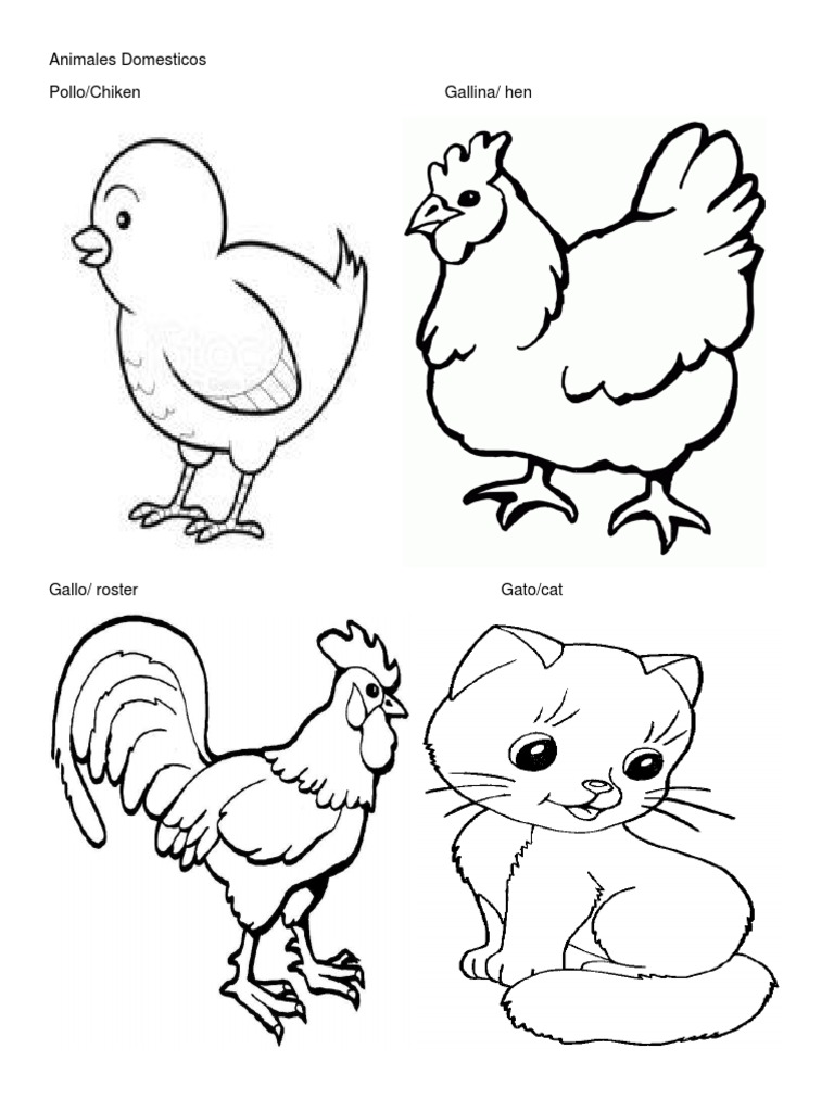 Animales Domesticos Para Colorear