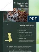 El Jaguar en México