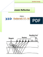 SEISMIC REFLECTION