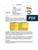 langostinos.pdf