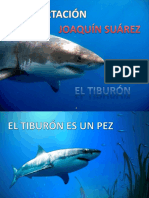 Tiburón