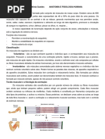 Sistema Muscular 2019-2