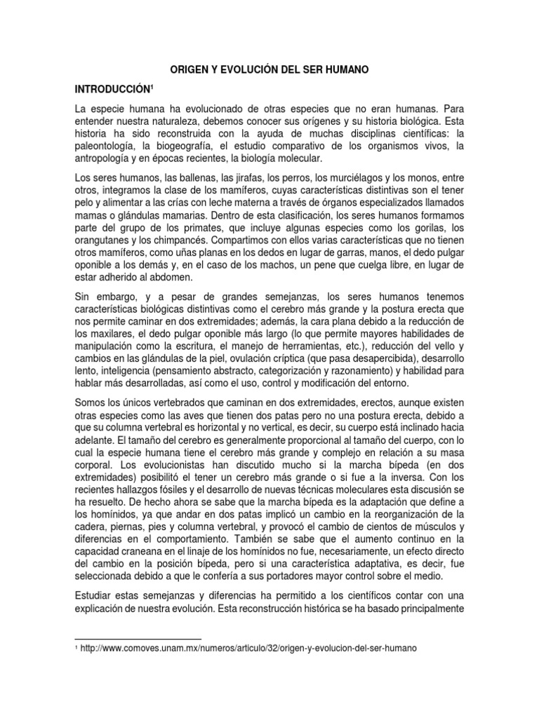 Origen y Evolución Del Ser Humano | PDF | Homo | Homo Sapiens