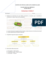 Taller Celula 2019