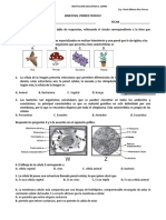 6 Biologia bimestral.doc