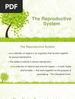 1.the Reproductive System