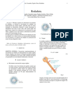 Preinforme e Informe Rodadura.pdf