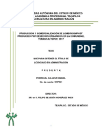La Producción y Comercialización de Fertilizante PDF