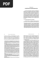 01_HASEL_cap 2_53_147.pdf