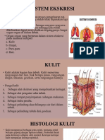 Sistem Eksresi Insyaallah Fixxx