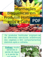 Bioquimica_aplicada_aula_10_vegetais.ppt