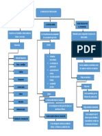 proceso de circulacion