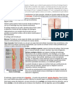 ciencias de la salud