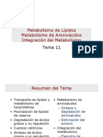 Metabolismo de Lipidos Metabolismo de Aminoacidos Integracion Del Metabolismo PDF