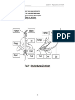 WORKSHEET 13.8 Pembiakan Tumbuhan