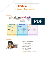 Microbiology Verbs and Body Parts