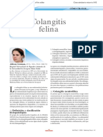 Coliangitis Felina PDF