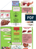 Leaflet Hepatoma