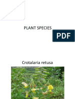 Plant Species