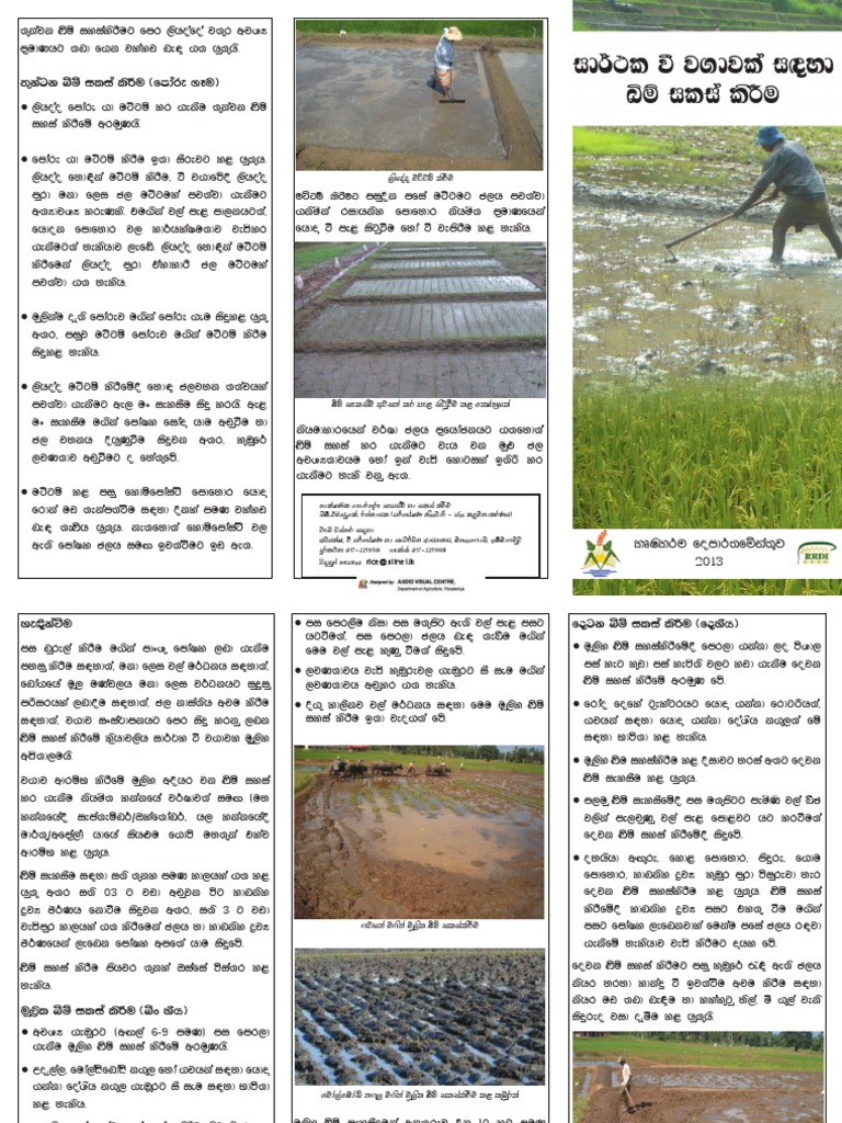 Paddy Land Preparation | PDF