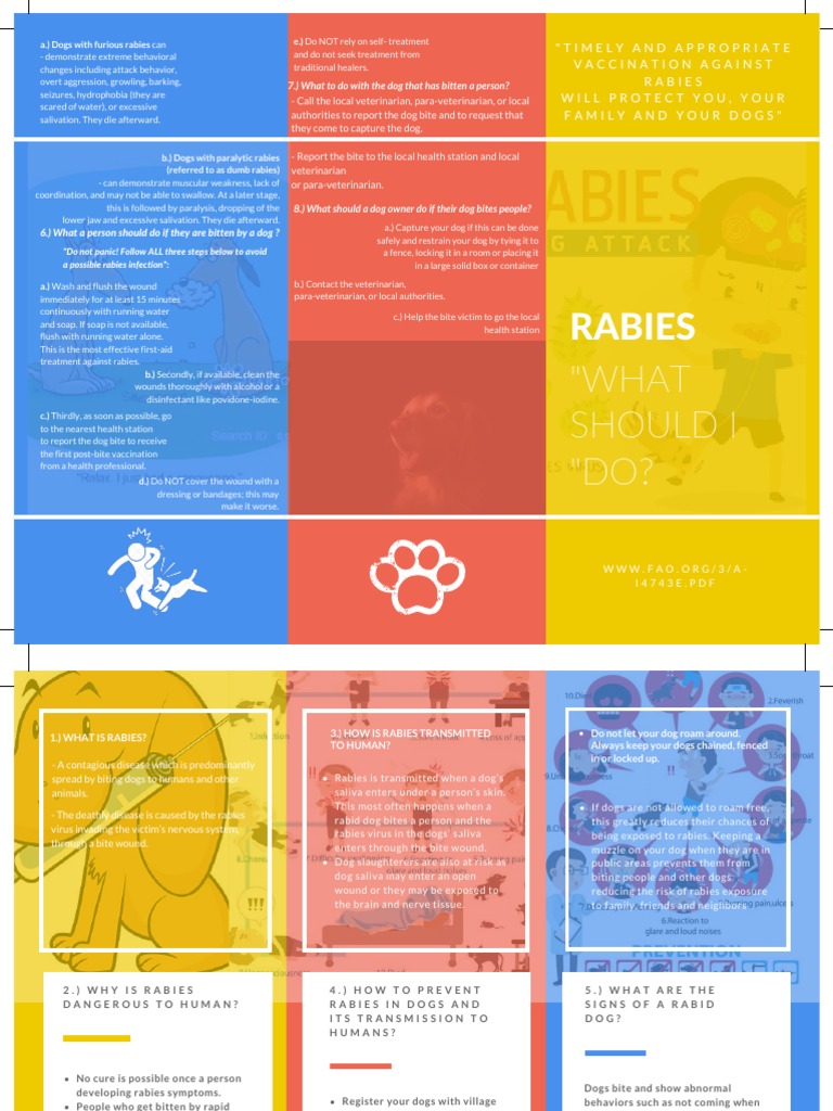 Brochure for Rabies | Rabies | Animals And Humans