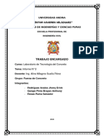 Informe Topografico Pachacutec