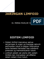 Organ Limfoid