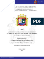 Sancho_Mamani_Ronald_Fernando.pdf