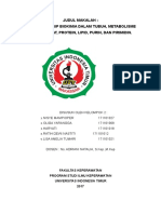 Biokimia Metabolis Karbo Lipid Protein Purin Primidin