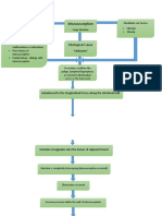 Intussusception: Etiological Cause