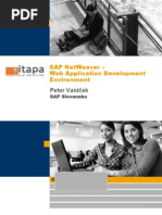 Sap Netweaver - Web Application Development Environment: Peter Vaníček