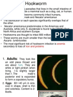 Hookworm: Ancylostoma Duodenale and Necator Americanus