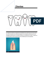 Tipos de Dientes